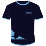 Camiseta Minas Gerais 2025